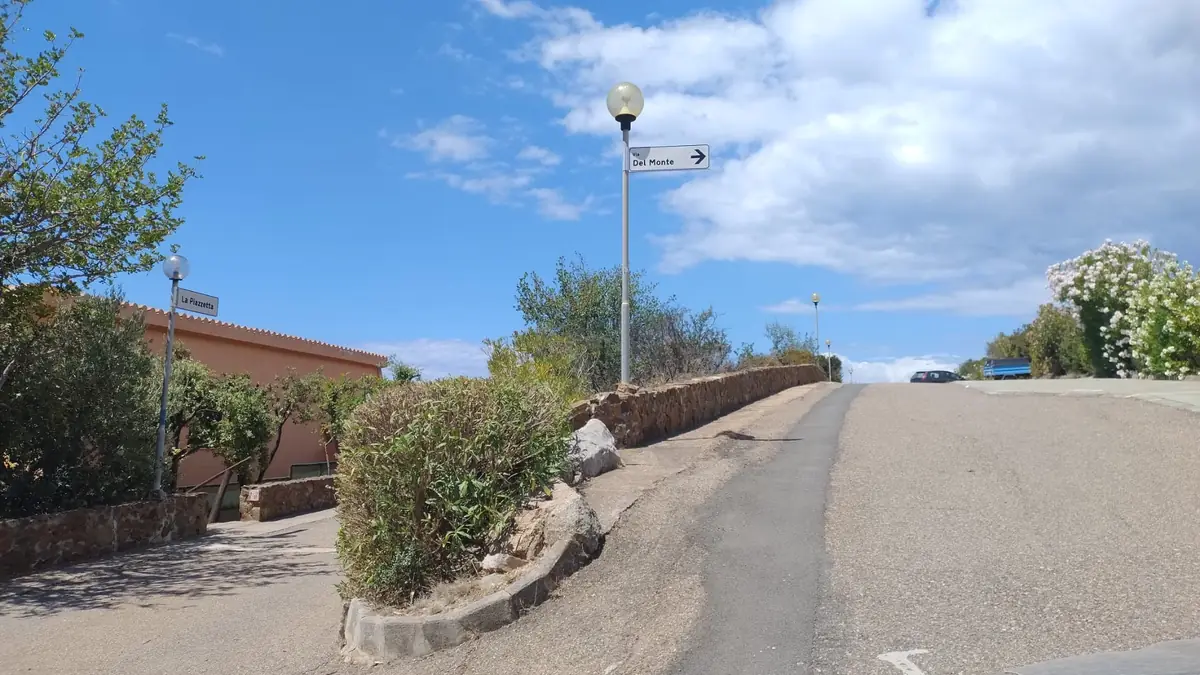 The road with lamp posts climbing on the right, past the flower bed.